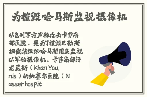 亚洲精品无码久久久久下载